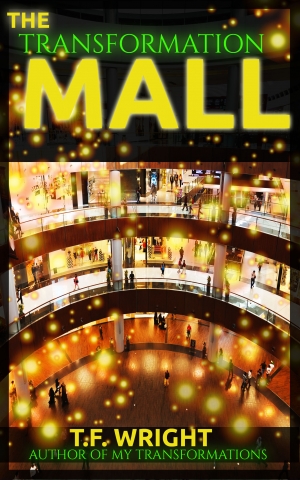 The Transformation Mall